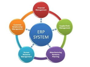 缙云鼎捷库存管理系统 打造高效协同的企业信息系统集成服务